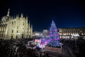 Milano, in piazza Duomo si accende l’albero fucsia