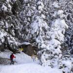 Meteo, pioggia e neve si abbattono sull’Italia