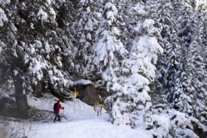 Meteo, pioggia e neve si abbattono sull’Italia