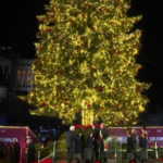 Roma, si accende l’albero di Natale
