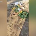 Iran, fiori sulla tomba del manifestante giustiziato