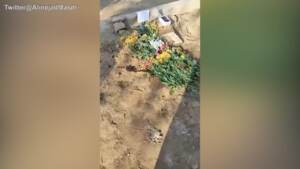 Iran, fiori sulla tomba del manifestante giustiziato