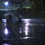 Regno Unito, cadono nel lago ghiacciato: morti 3 bimbi