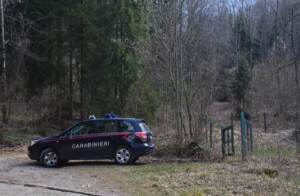 Valle Brembana, uomo muore schiacciato dalla pianta che stava tagliando nei boschi