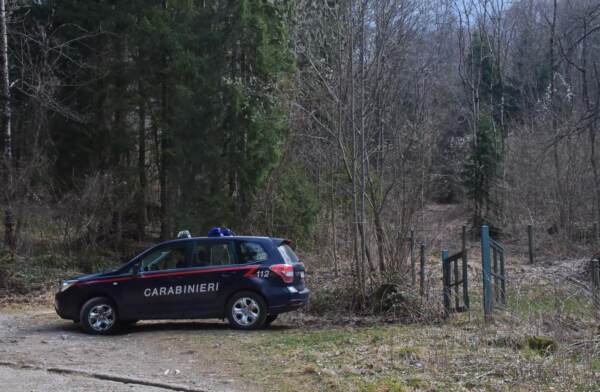 Valle Brembana, uomo muore schiacciato dalla pianta che stava tagliando nei boschi