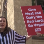 Qatar 2022, attivista PETA invita tifosi a diventare vegani