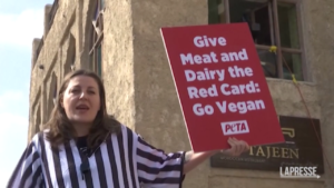 Qatar 2022, attivista PETA invita tifosi a diventare vegani
