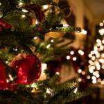 Cesena, 76enne nudo morto e avvolto in luci Natale