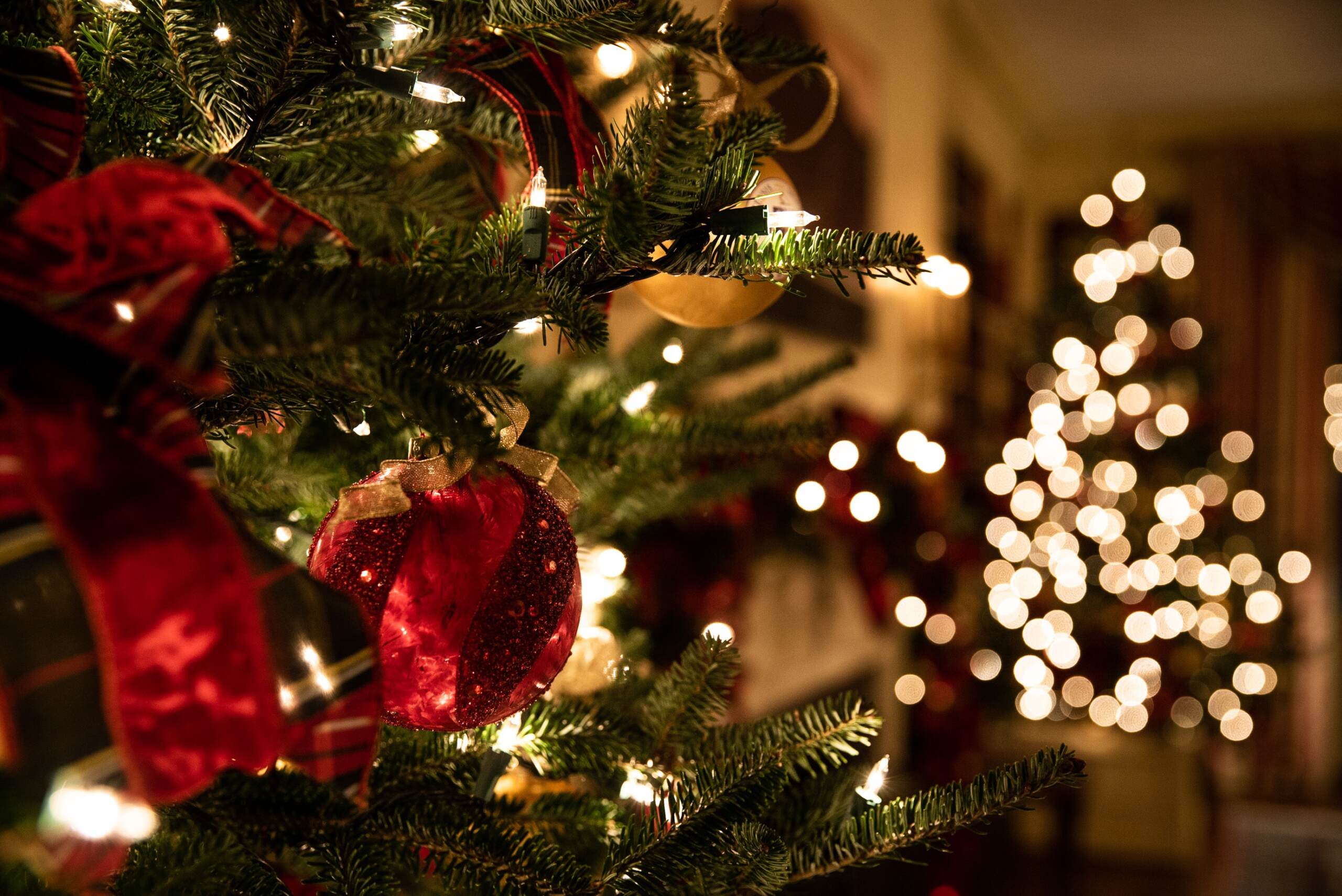 Cesena, 76enne nudo morto e avvolto in luci Natale
