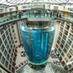 Berlino, esplode maxi-acquario con 1.500 pesci