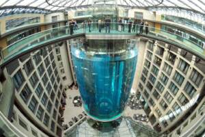 Berlino, esplode maxi-acquario con 1.500 pesci
