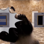 Qatar 2022, panda Jing Jing predice vittoria dell’Argentina