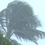 Hawaii, tempesta su isole: allagamenti e blackout
