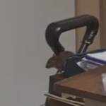 Cagliari, topi in ospedale oncologico