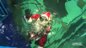 Brasile, Babbo Natale con maschera e pinne tra gli squali