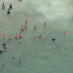 Australia, a Sydney Natale tra la Messa e la spiaggia