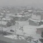 Giappone, 17 morti per le forti nevicate