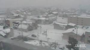 Giappone, 17 morti per le forti nevicate