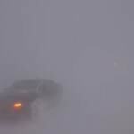 Usa, Buffalo nella tormenta