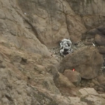 California, auto precipita da 75 metri