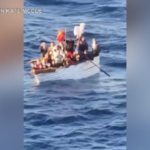 Usa, nave da crociera salva 19 migranti