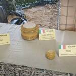 Ucraina, disinnescate mine di fabbricazione italiana