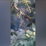 Nepal, aereo si schianta in fase di atterraggio