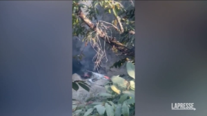 Nepal, aereo si schianta in fase di atterraggio
