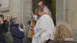 Spagna, cani e gatti benedetti nel giorno di Sant’Antonio