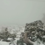 Maltempo, la neve arriva anche in Oman