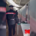 Milano, scoperto canile lager: animali maltrattati