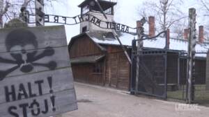 Giornata Memoria, sopravvissuta racconta Auschwitz