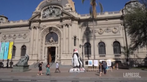 Cile, artisti manifestano per arcipelago Humboldt