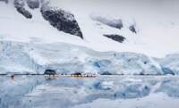 Viaggio in Antartide