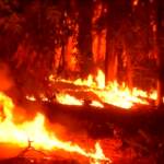 Cile, aumenta bilancio vittime causate da incendi