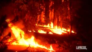 Cile, aumenta bilancio vittime causate da incendi