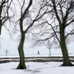 Meteo, in arrivo neve anche in pianura