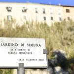 Omicidio Mollicone, motivazioni: indizi non sorretti da prove