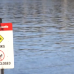 Australia, 16enne uccisa da squalo