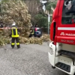 Maltempo, in Sicilia centinaia di interventi dei vigili del fuoco