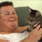 Violenza domestica, in Australia ecco un programma che aiuta gli animali delle vittime