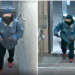 Usa, spari in università: morti e feriti