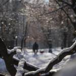 Meteo, a marzo maledetta primavera