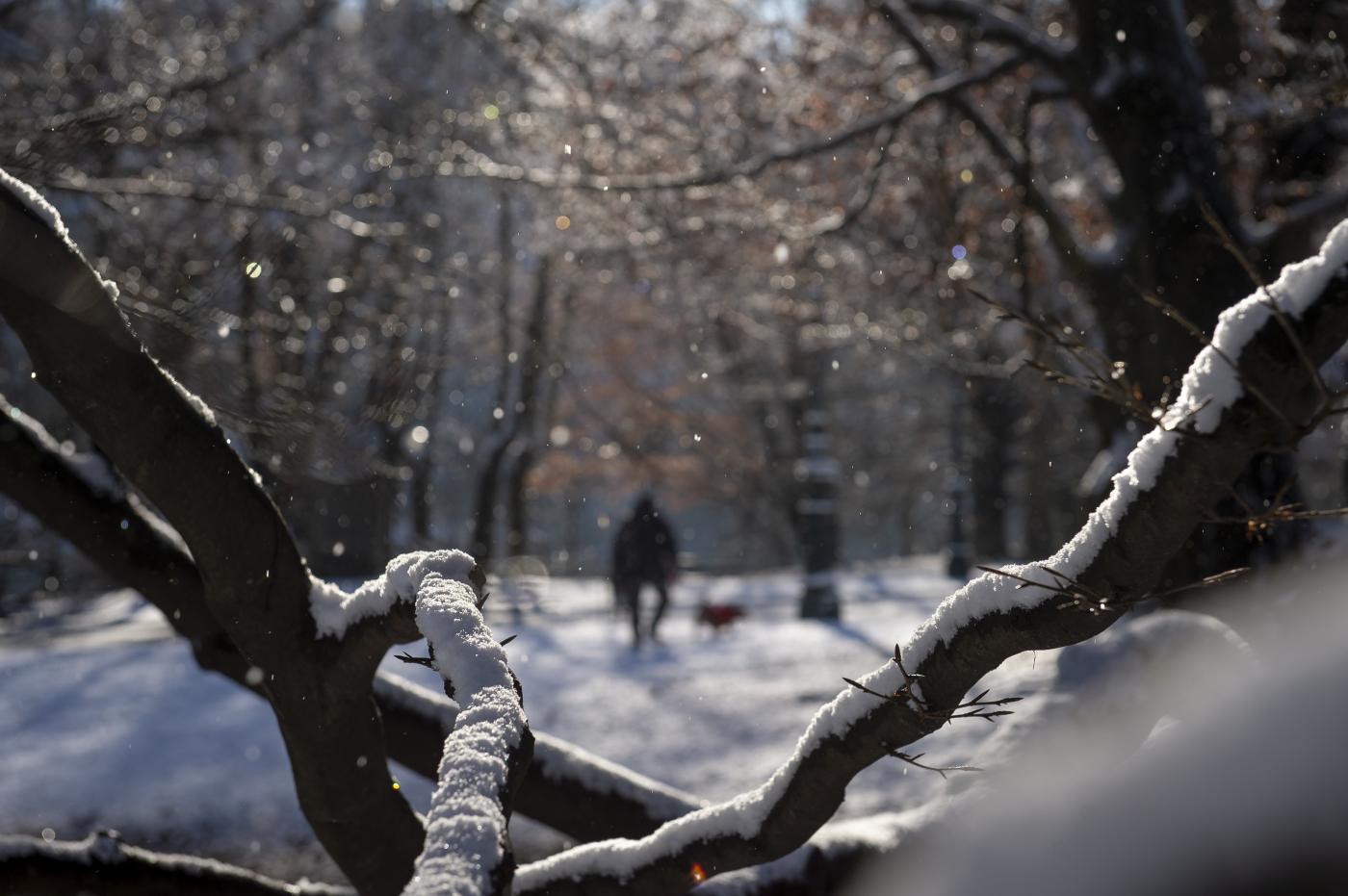 Meteo, a marzo maledetta primavera Meteo, a marzo maledetta primavera
