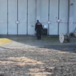 Pavia, ucciso e dato alle fiamme: arrestati 3 familiari