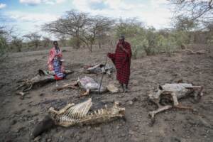 Horn of Africa drought trends said worse than in 2011 famine
