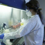 Covid, studio Usa: “Partito da fuga in laboratorio”