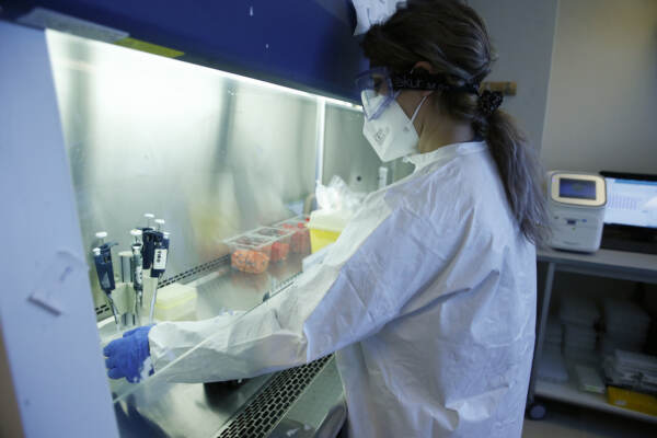 Roma, laboratorio per l’analisi dei tamponi Covid nel Campus Biomedico