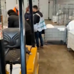 Alessandria, scoperta lavanderia industriale non a norma