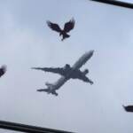 Russia, aeroporto San Pietroburgo sospende voli per oggetto non identificato